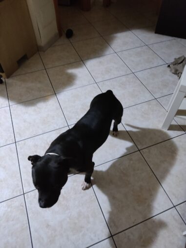 Zeus