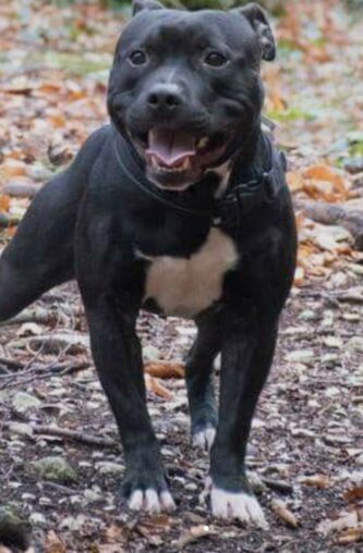 Zeus